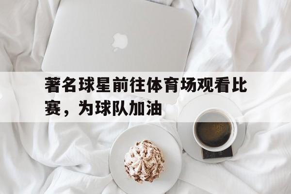著名球星前往体育场观看比赛，为球队加油